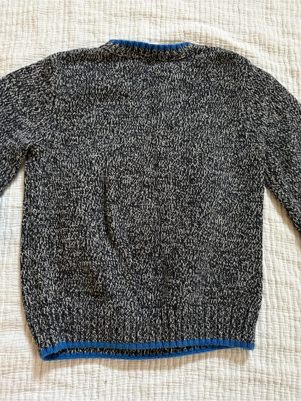 ROAR! Blue & Gray Crewneck Sweater